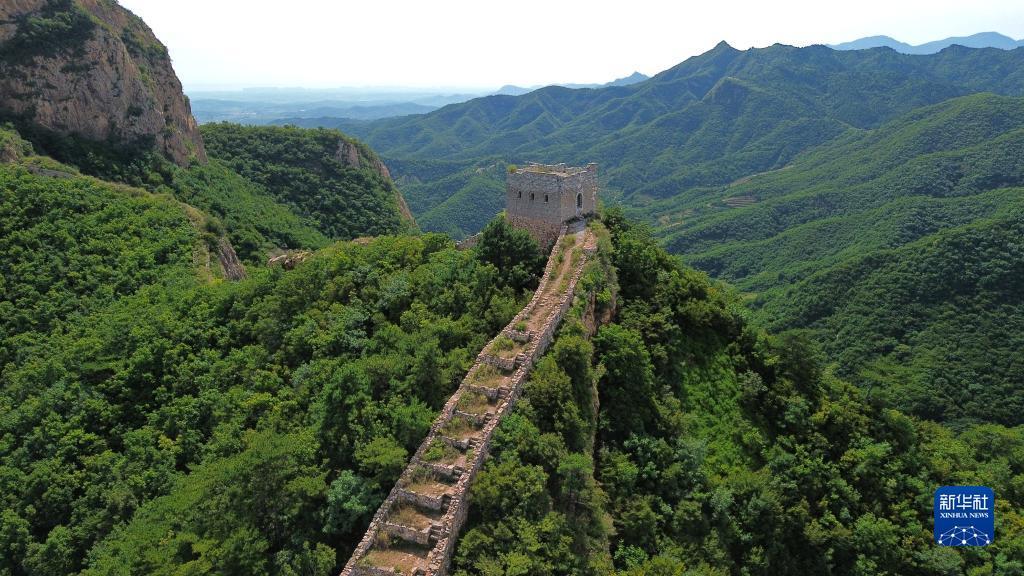 申慱网址